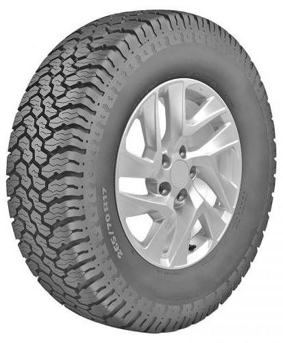 Tigar Road Terrain (2)